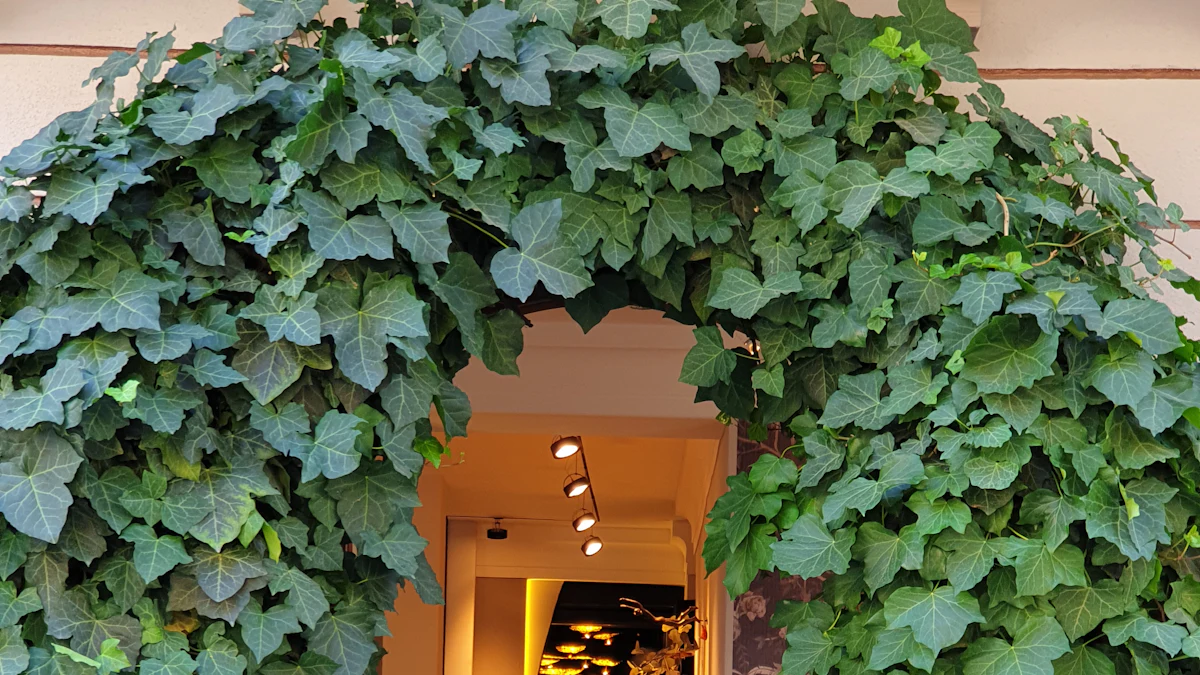 Entrada arborizada de um prédio, com hera sobre a porta e luz acesa no interior